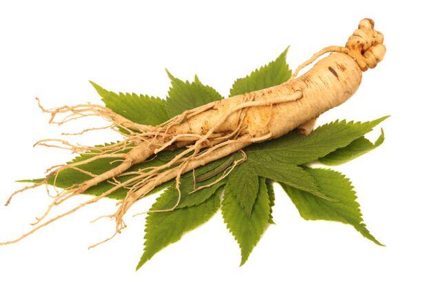 radice di ginseng nello spray Nicode