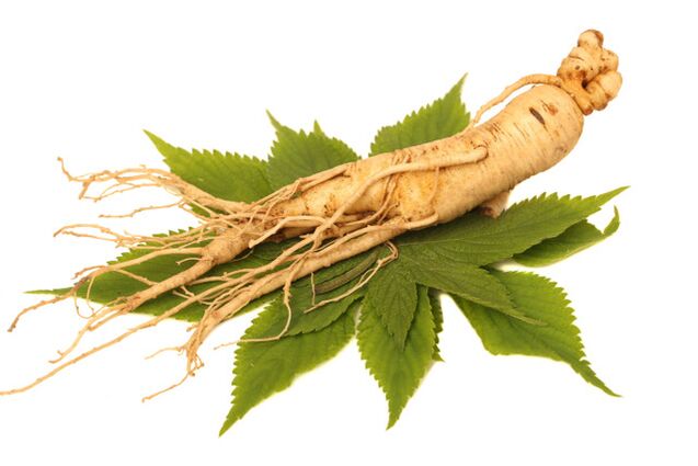radice di ginseng nello spruzzo zxcvbnmqwert